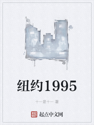 纽约1995